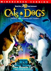 cover Cats & Dogs