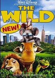 cover Wild, The
