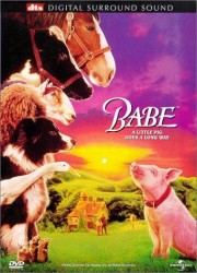 cover Babe