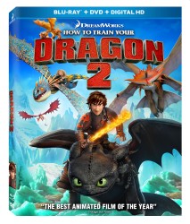 cover How to Train Your Dragon 2