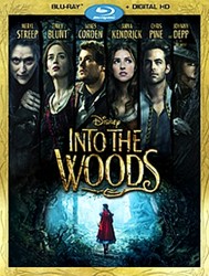 cover Into the Woods