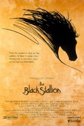 cover Black Stallion, The